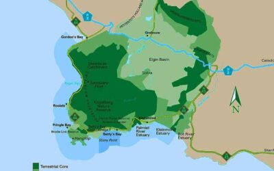 Biosphere Stewardship