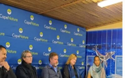World Environment Day on 5 June: Event at Stony Point