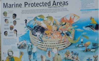 Marine Protected Area (MPA) Day: Clean Up