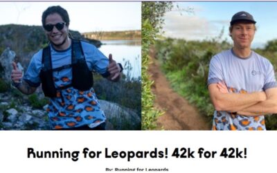 Cape Leopard Trust (CLT) Fundraiser Feedback