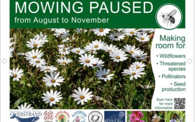 Betty’s Bay Conservancy Update: September 2025