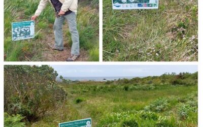 “Mowing Paused” Signage in Betty’s Bay