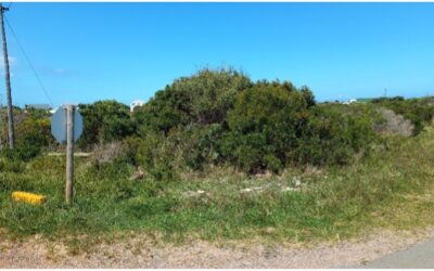 Update on the Proposed Retirement Village on ERF 4032 Crassula Way