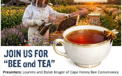 BBC4thSaturday: 25 May “BEE and TEA”