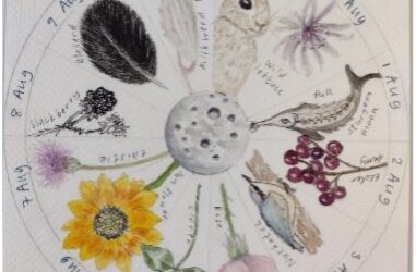 Nature Journaling
