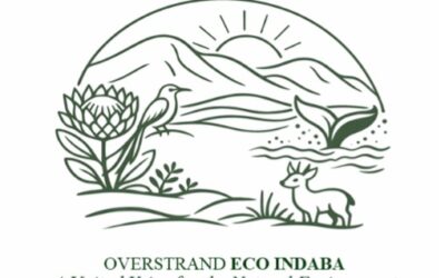 After the Overstrand Eco-Indaba