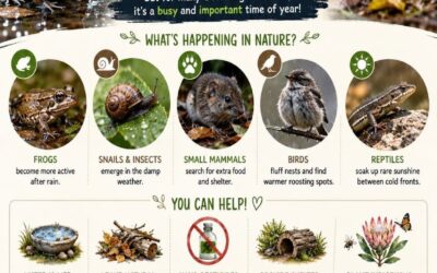 Watch Out for Our Wildlife