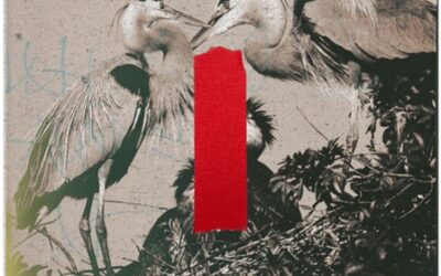 We Know How to Mourn Other Humans – But What About Ecological Grief?