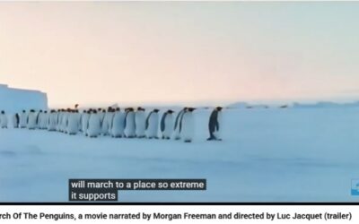 March of the Penguins – A Documentary