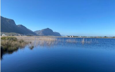 Conservation, Care & Projects