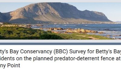 Betty’s Bay Conservancy (BBC) Survey for Betty’s Bay residents on the planned predator-deterrent fence at Stony Point