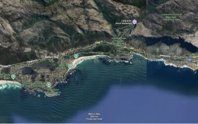 Update on the R44 Petition: Update Five
